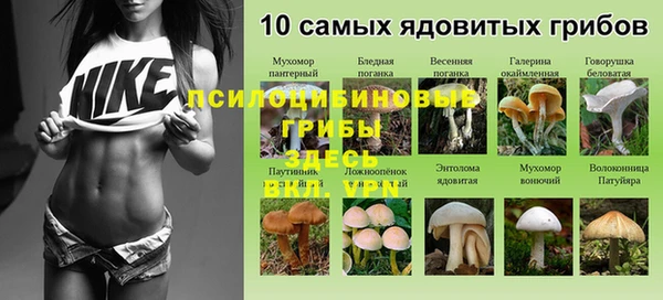 МДМА Арсеньев