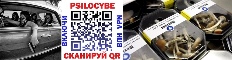 Псилоцибиновые грибы прущие грибы  закладки  Аша 